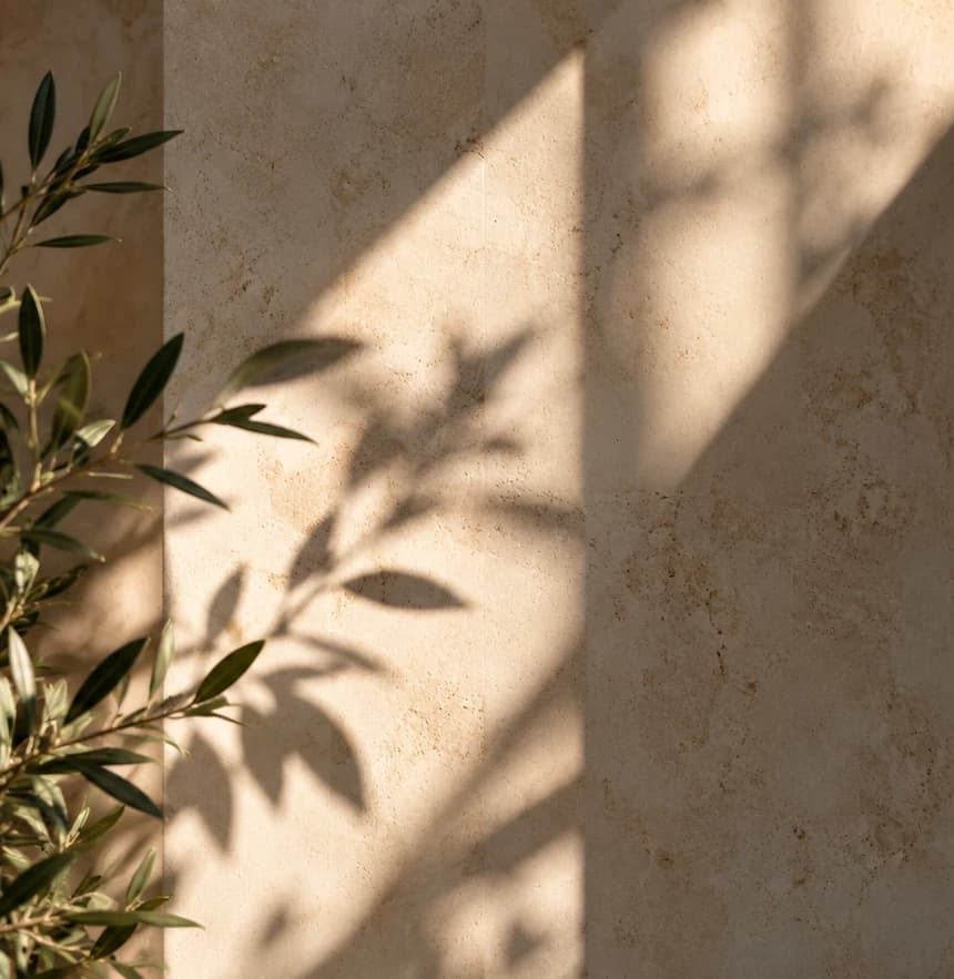 An olive branch in front of a limestone wall striped with light and shadow