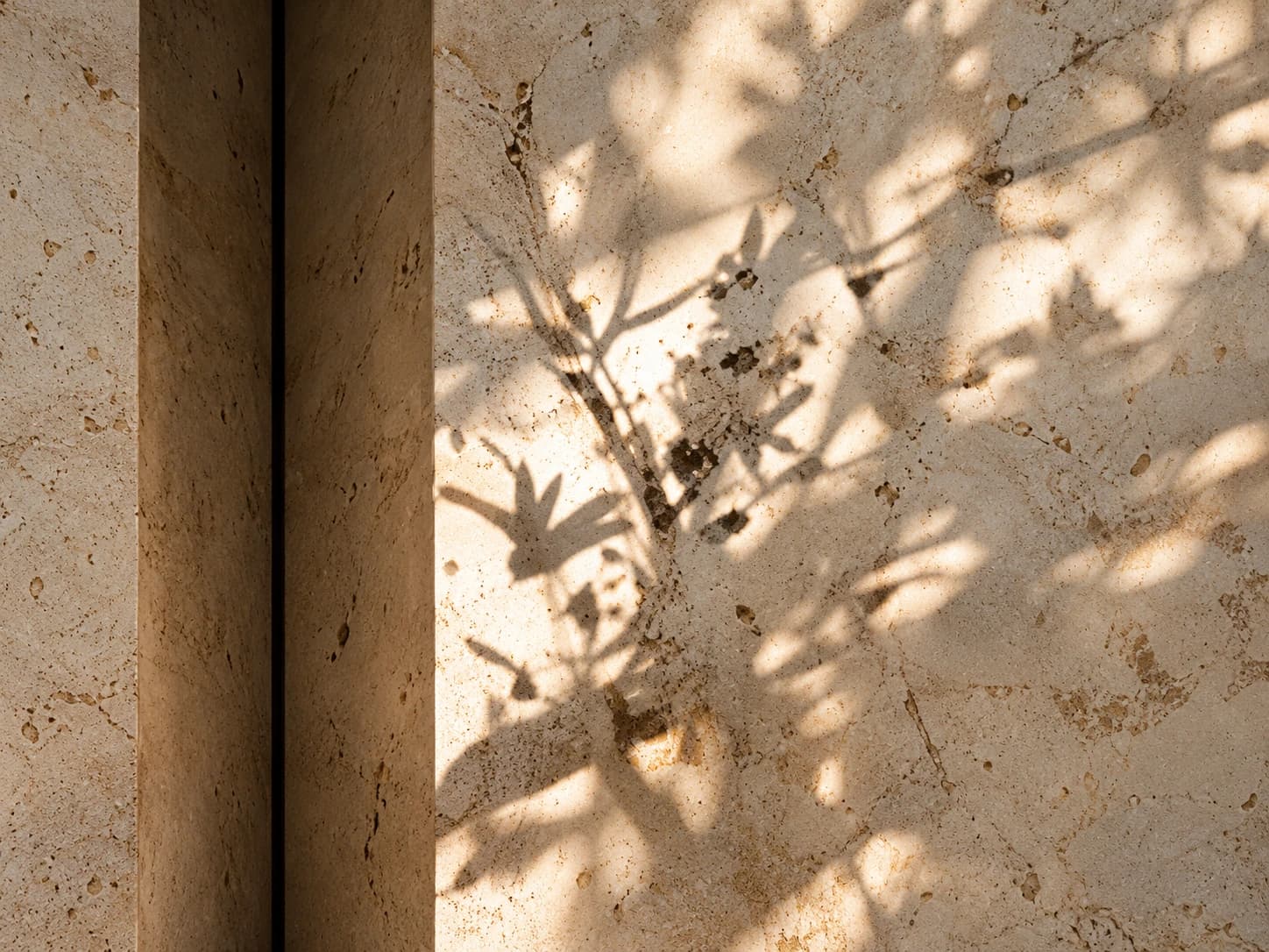 Dappled olive-leaf shadows across a textured limestone wall