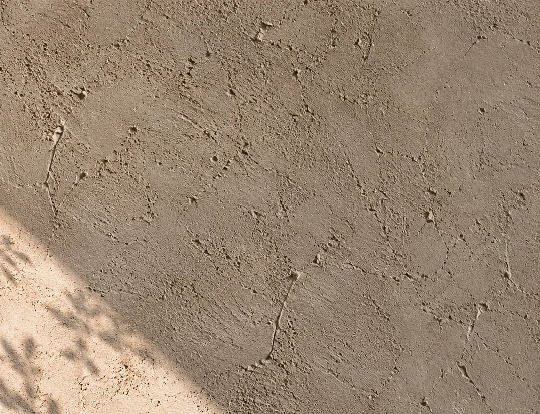 Close view of hand-finished lime plaster with soft leaf shadows in one corner